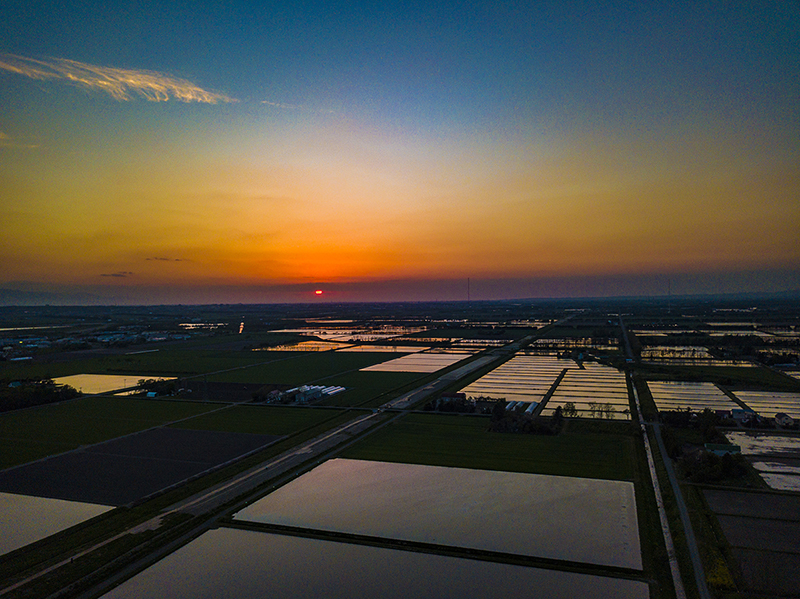 水が入った田んぼに夕焼けが写っている写真