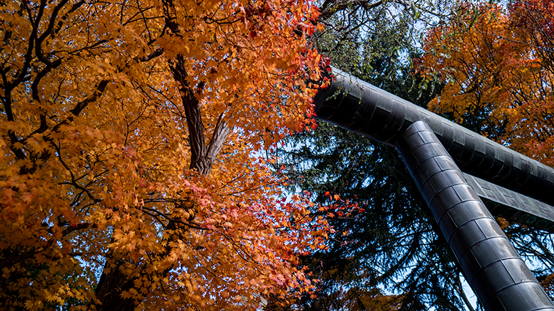 南幌神社の紅葉の様子